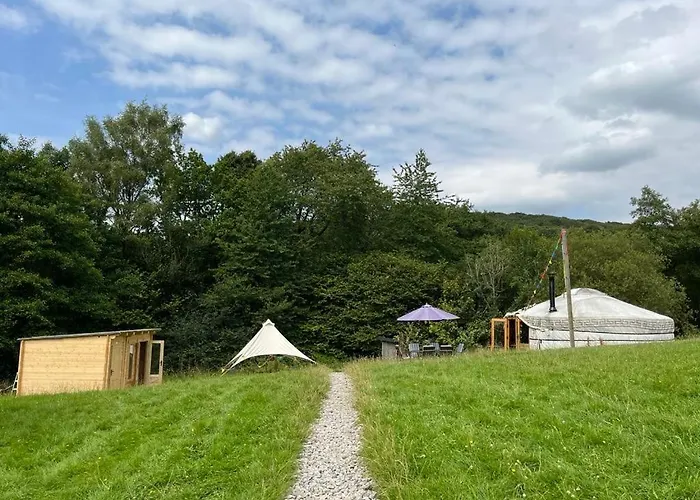 Wilding Yurt Stay